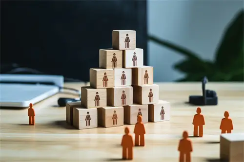 耐吉斯公司介绍